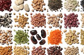 مرکز فروش عمده حبوبات وارداتی