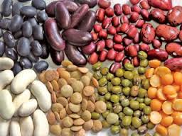 فروشندگان عمده حبوبات زنجان