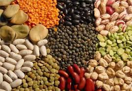 واردات حبوبات درجه یک از کانادا