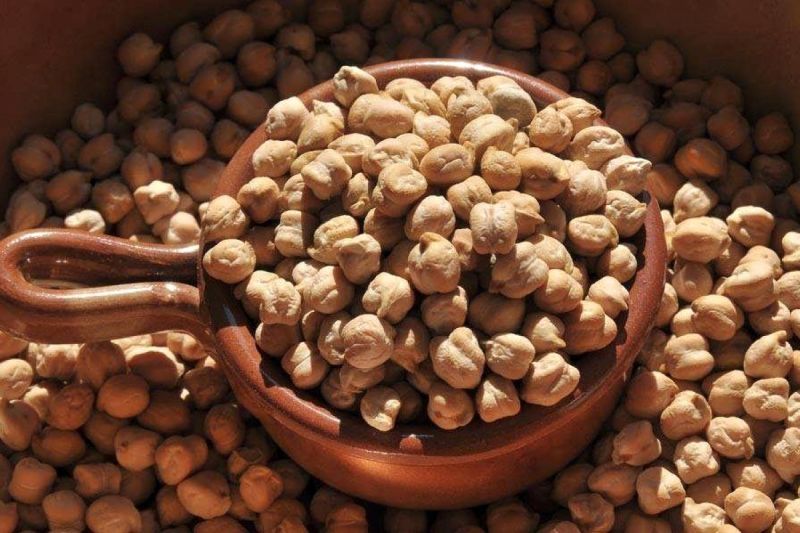 صادرات نخود ایرانی درشت