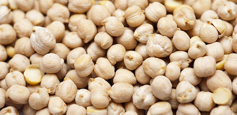 پخش نخود وارداتی درجه یک