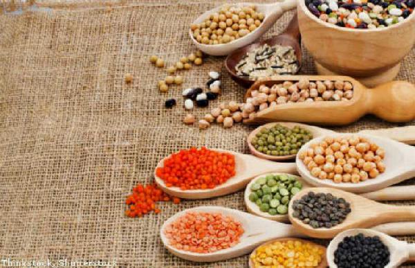 عرضه کننده انواع حبوبات وارداتی