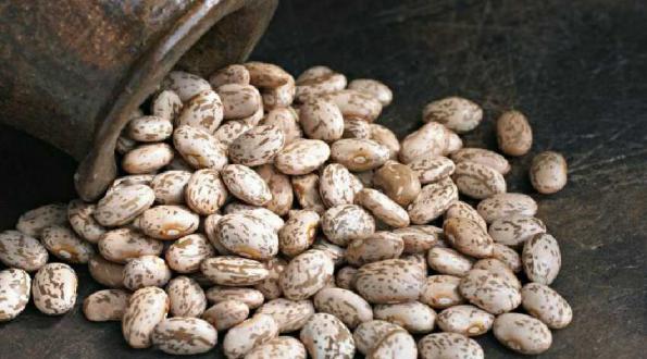 مرکز عرضه لوبیا چیتی ازبکستان