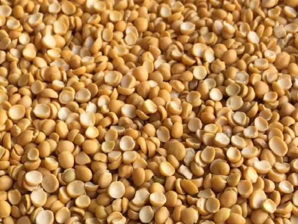 سفارش حبوبات تولیدی کرمانشاه
