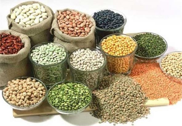 اهمیت واردات حبوبات خارجی به ایران