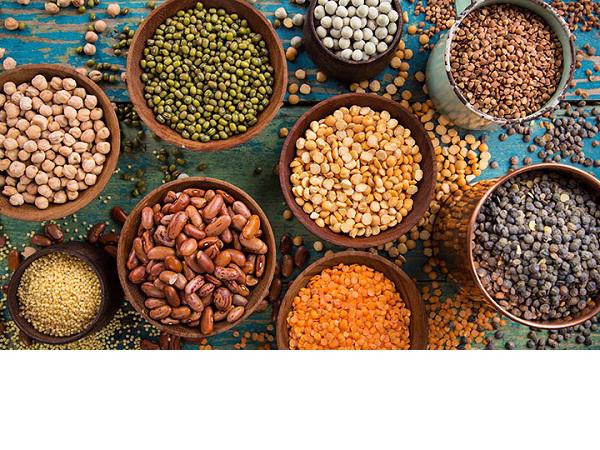 فروشنده بهترین حبوبات ایرانی