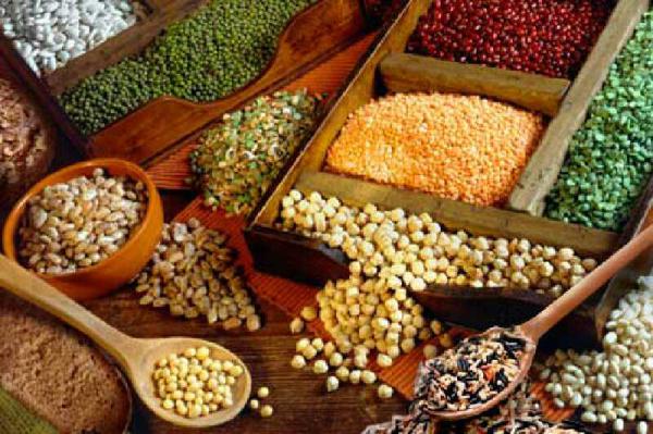 روش های تشخیص لوبیا چیتی ایرانی و چینی