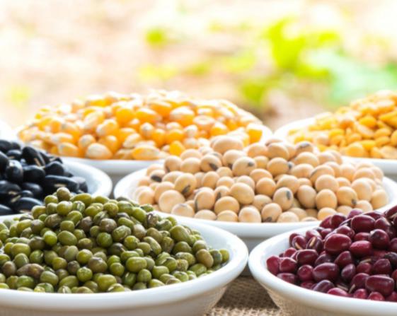 واردات حبوبات خارجی به ایران