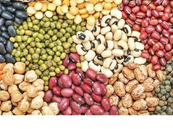 خرید بدون واسطه حبوبات با بهترین قیمت