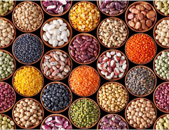سفارش اینترنتی عمده انواع حبوبات