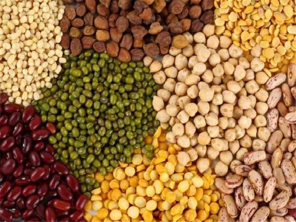 خرید مستقیم حبوبات از تولید کننده