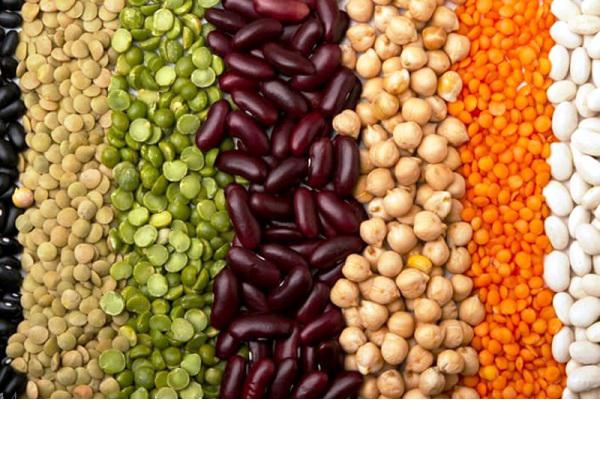 سفارش اینترنتی حبوبات 