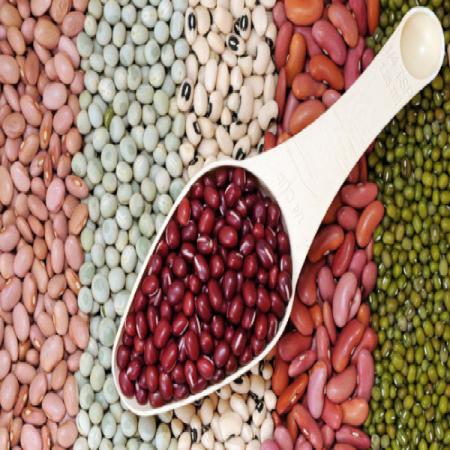 فروش حبوبات فله بدون واسطه
