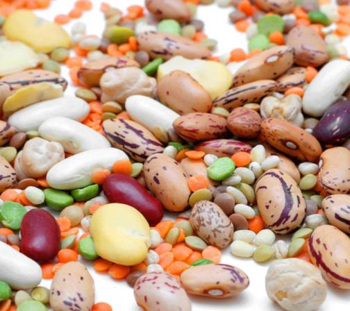 خریدار حبوبات مرغوب ارزان قیمت