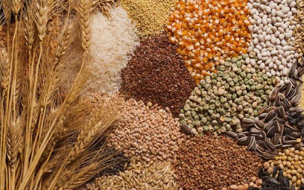 بزرگترین عمده فروش حبوبات درجه یک