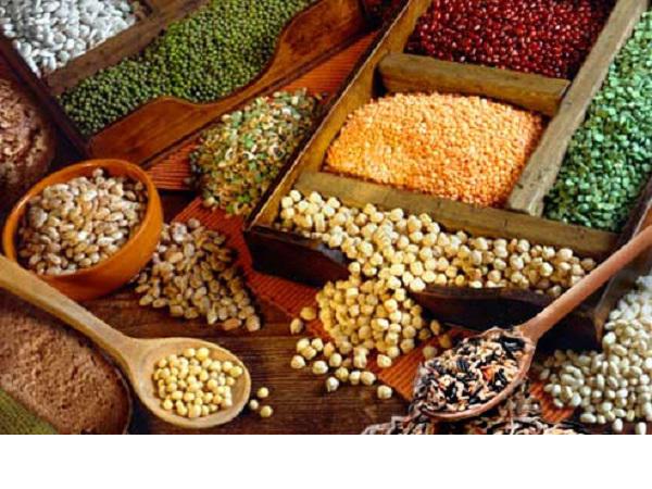عمده فروش حبوبات فله و بسته بندی