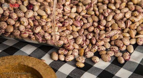 واردات لوبیا چیتی از ازبکستان