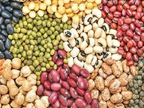 فروشگاه اینترنتی حبوبات کرمانشاه