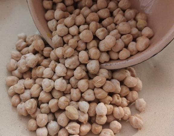 تولید کننده نخود مرغوب صادراتی